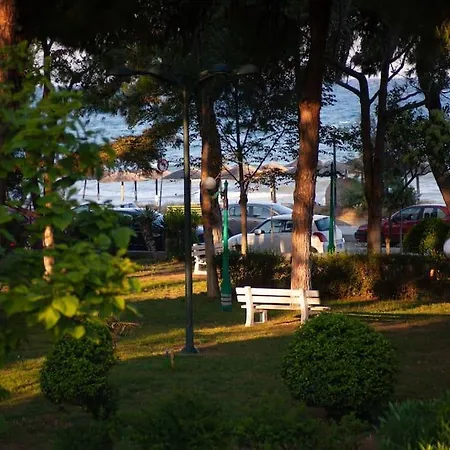 Morning Glory Lejlighed *